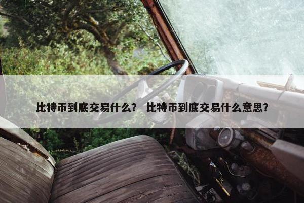 比特币到底交易什么？ 比特币到底交易什么意思？