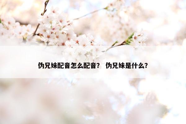 伪兄妹配音怎么配音？ 伪兄妹是什么？