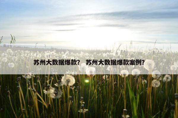 苏州大数据爆款？ 苏州大数据爆款案例？