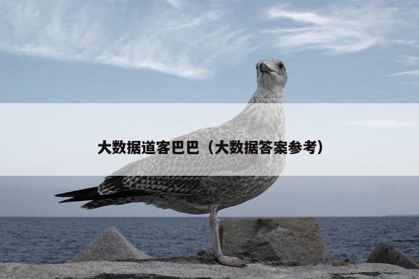 大数据道客巴巴（大数据答案参考）