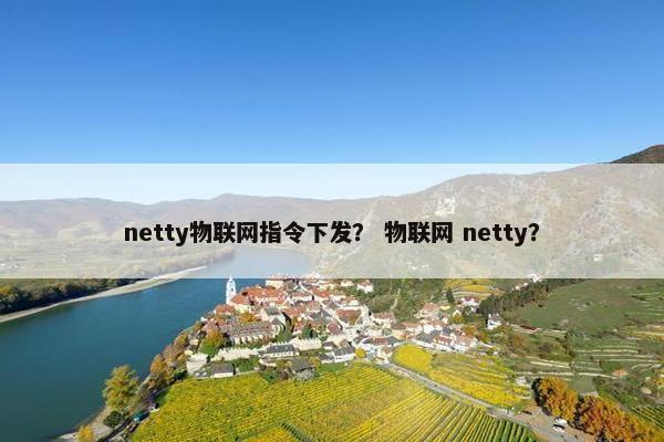 netty物联网指令下发？ 物联网 netty？