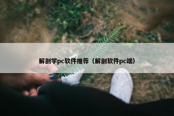 解剖学pc软件推荐（解剖软件pc端）
