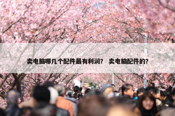 卖电脑哪几个配件最有利润？ 卖电脑配件的？