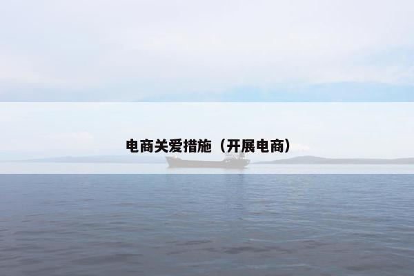 电商关爱措施（开展电商）