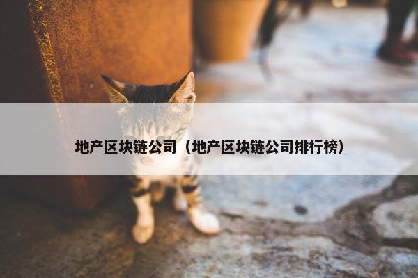地产区块链公司（地产区块链公司排行榜）