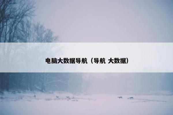 电脑大数据导航（导航 大数据）