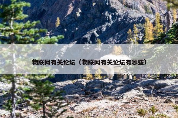 物联网有关论坛（物联网有关论坛有哪些）