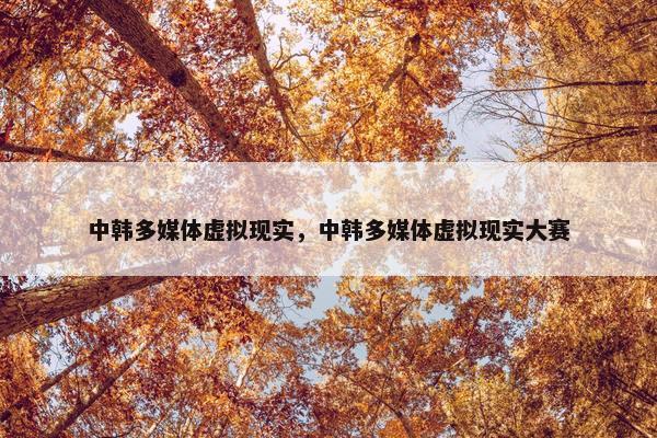 中韩多媒体虚拟现实，中韩多媒体虚拟现实大赛