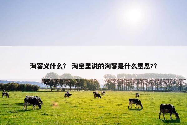 淘客义什么？ 淘宝里说的淘客是什么意思?？