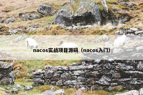 nacos实战项目源码（nacos入门）