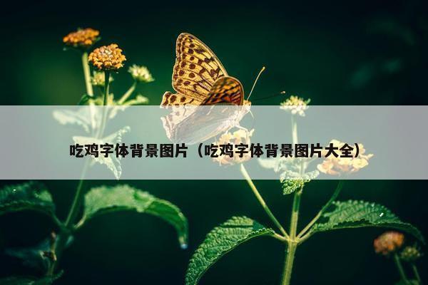吃鸡字体背景图片（吃鸡字体背景图片大全）