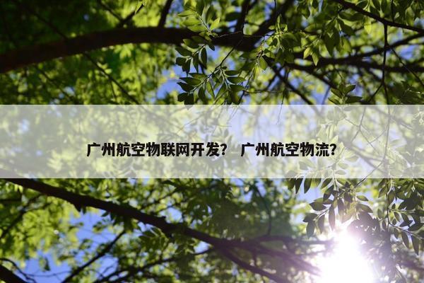 广州航空物联网开发？ 广州航空物流？