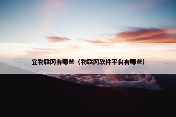 宜物联网有哪些（物联网软件平台有哪些）
