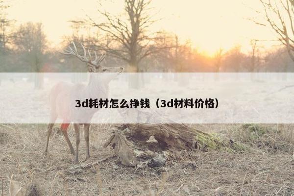3d耗材怎么挣钱（3d材料价格）
