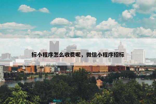 标小程序怎么收费呢，微信小程序招标