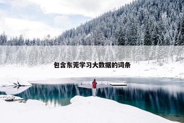 包含东莞学习大数据的词条