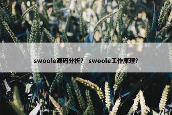swoole源码分析？ swoole工作原理？