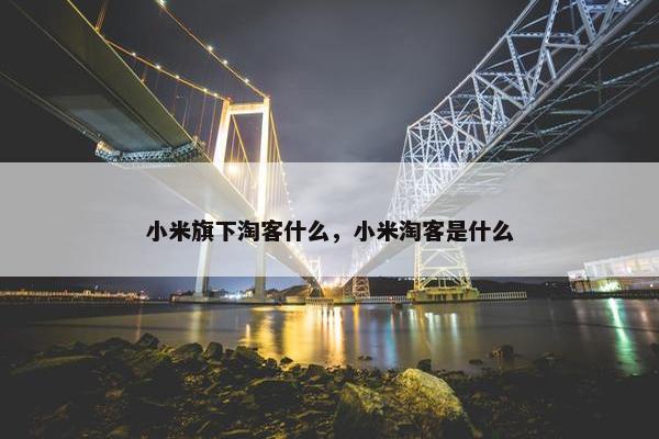 小米旗下淘客什么，小米淘客是什么