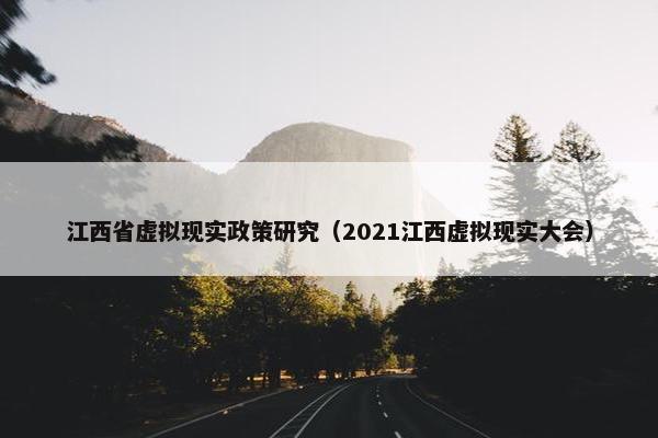 江西省虚拟现实政策研究（2021江西虚拟现实大会）