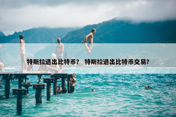 特斯拉退出比特币？ 特斯拉退出比特币交易？