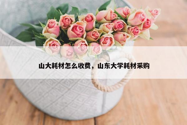 山大耗材怎么收费，山东大学耗材采购