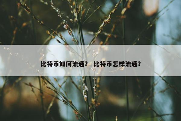 比特币如何流通？ 比特币怎样流通？