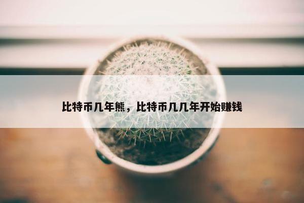 比特币几年熊，比特币几几年开始赚钱