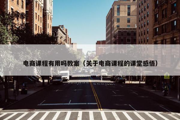 电商课程有用吗教案（关于电商课程的课堂感悟）