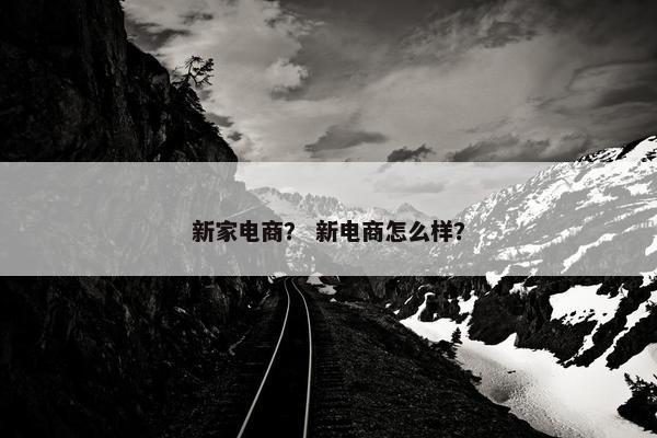 新家电商？ 新电商怎么样？