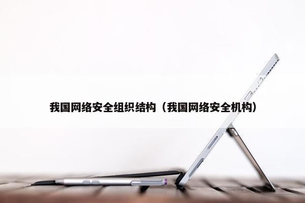 我国网络安全组织结构（我国网络安全机构）