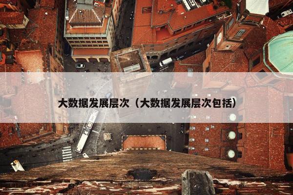 大数据发展层次（大数据发展层次包括）