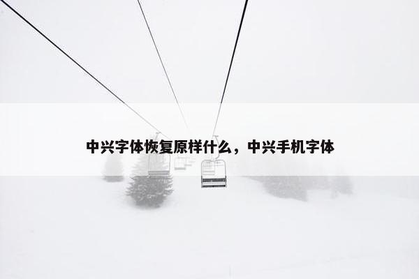 中兴字体恢复原样什么，中兴手机字体