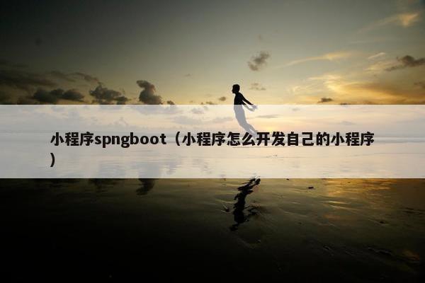 小程序spngboot（小程序怎么开发自己的小程序）