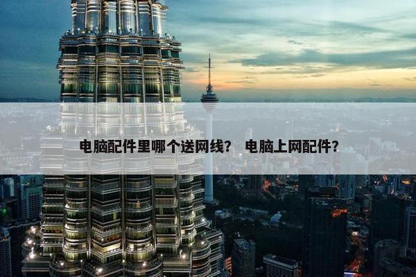 电脑配件里哪个送网线？ 电脑上网配件？