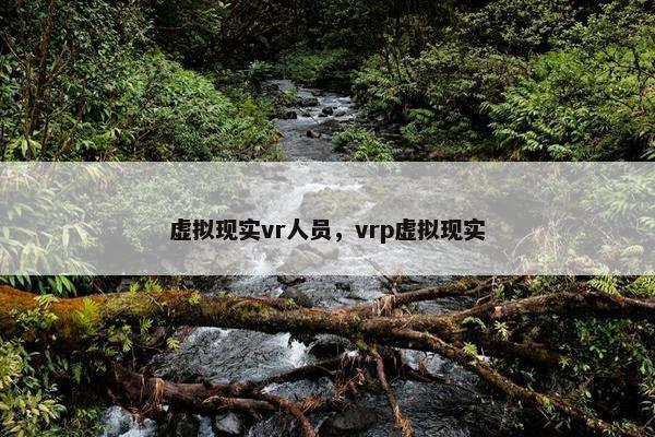 虚拟现实vr人员，vrp虚拟现实