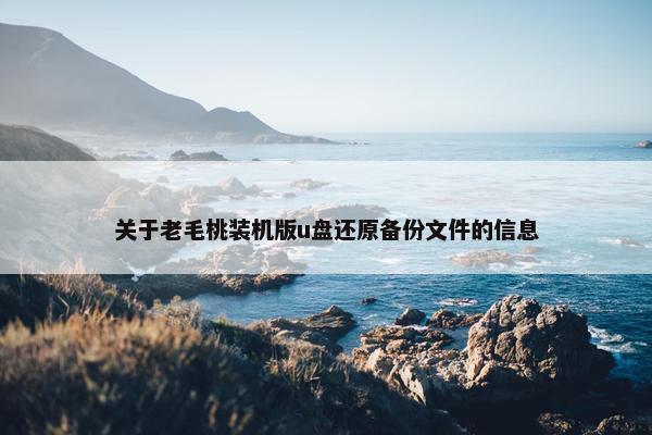 关于老毛桃装机版u盘还原备份文件的信息