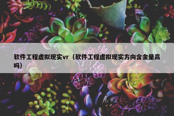 软件工程虚拟现实vr（软件工程虚拟现实方向含金量高吗）