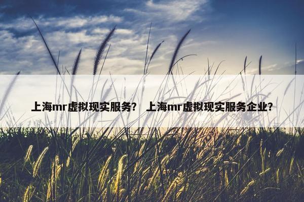 上海mr虚拟现实服务？ 上海mr虚拟现实服务企业？