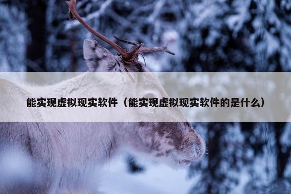 能实现虚拟现实软件（能实现虚拟现实软件的是什么）