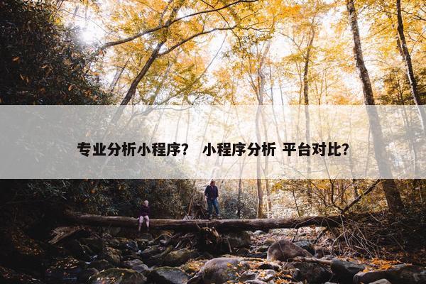 专业分析小程序？ 小程序分析 平台对比？