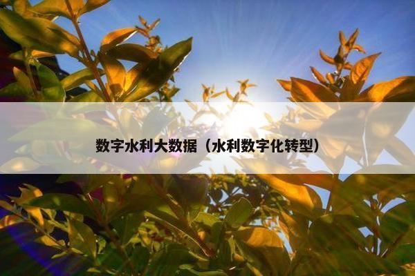 数字水利大数据（水利数字化转型）