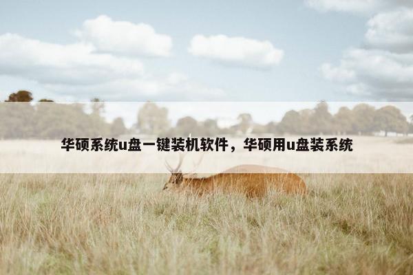 华硕系统u盘一键装机软件，华硕用u盘装系统