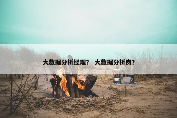 大数据分析经理？ 大数据分析岗？