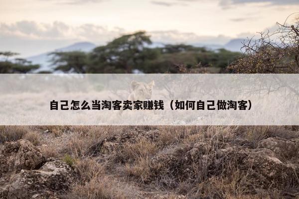 自己怎么当淘客卖家赚钱（如何自己做淘客）