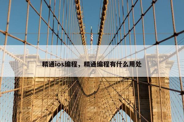 精通ios编程，精通编程有什么用处