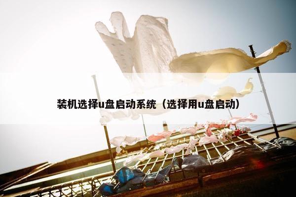 装机选择u盘启动系统（选择用u盘启动）