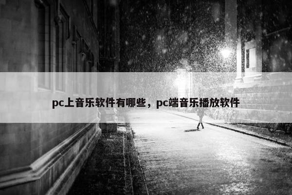 pc上音乐软件有哪些，pc端音乐播放软件