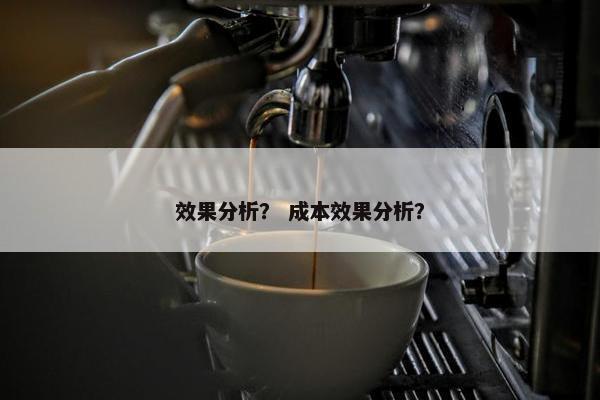 效果分析？ 成本效果分析？