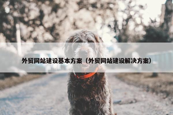外贸网站建设基本方案（外贸网站建设解决方案）