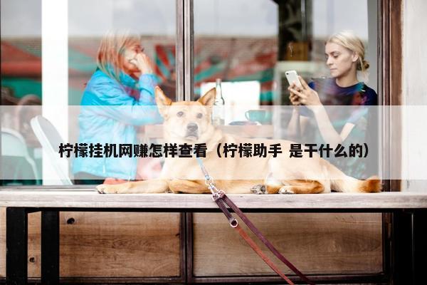 柠檬挂机网赚怎样查看（柠檬助手 是干什么的）